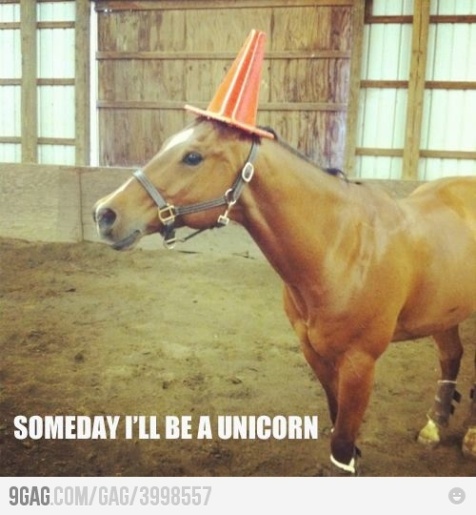 unicorn someday